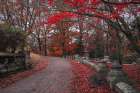 USA-Sleepy Hollow Sleepy Hollow Cemetery (PR) Art Print